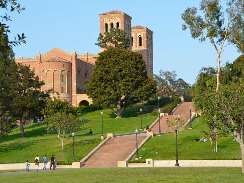 Economic Crisis Response Team